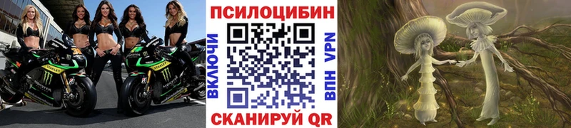закладка Лагань Галлюциногенные грибы Psilocybine cubensis